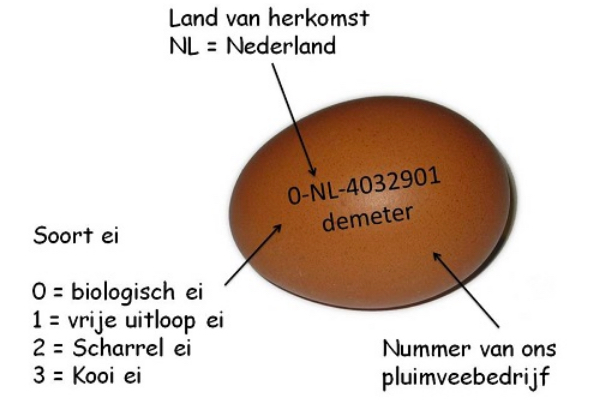 ei met codes